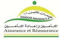 Logo DAMANE Assurance